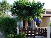 cap dagde01